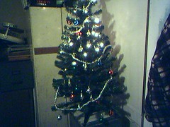 Our first tree.  Me & the kids put it up