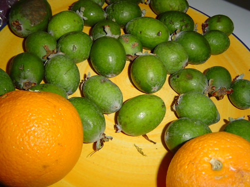 Fruit on the fridge